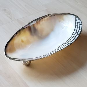 Abalone shell dish